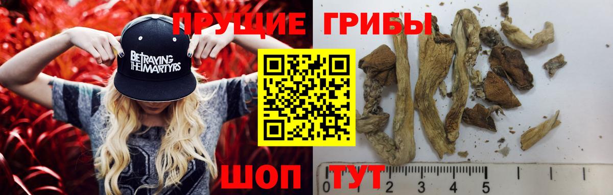 Галлюциногенные грибы GOLDEN TEACHER Обнинск